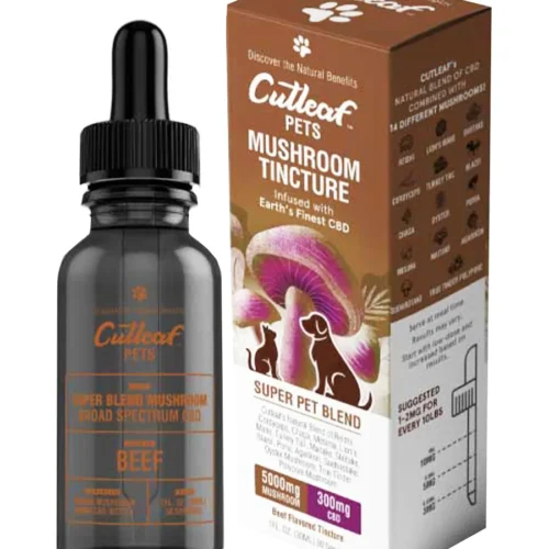 Beef-Cutleaf-Pet-Mushroom-CBD-Tinctures.webp Beef Cutleaf Pet Mushroom CBD Tinctures