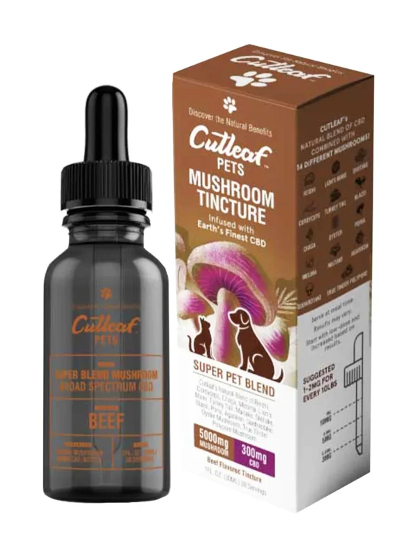 Beef-Cutleaf-Pet-Mushroom-CBD-Tinctures.webp Beef Cutleaf Pet Mushroom CBD Tinctures