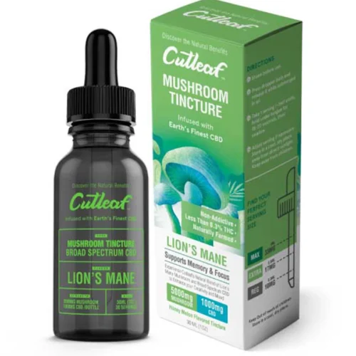 Cutleaf-Adult-Tinctures-5000m_1000c-Lions-mane.webp Lion’s Mane Honeydrew Melon Cutleaf Mushroom CBD Tincture