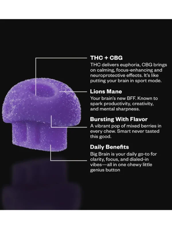Poster-Blueberry-Breeze-Munchies-Functional-Microdose-Chillin-Gummies-5ct.webp Blueberry Breeze Munchies Functional Microdose Chillin Gummies 5ct