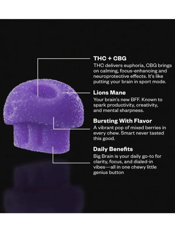Mixed Berry Munchies Functional Microdose Big Brain Gummies 20ct
