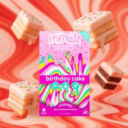 SECOND_IMAGE__birthday_cake_2.jpg Mmelt Birthday Cake Mushroom Chocolate – 6G