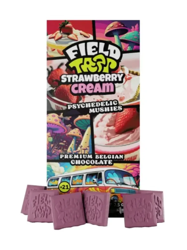 Strawberry-Cream-Field-Trip-Mushies.webp Strawberry Cream Field Trip Mushies Premium Belgian Chocolate