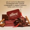 Alice Mushrooms Happy Ending Chocolate