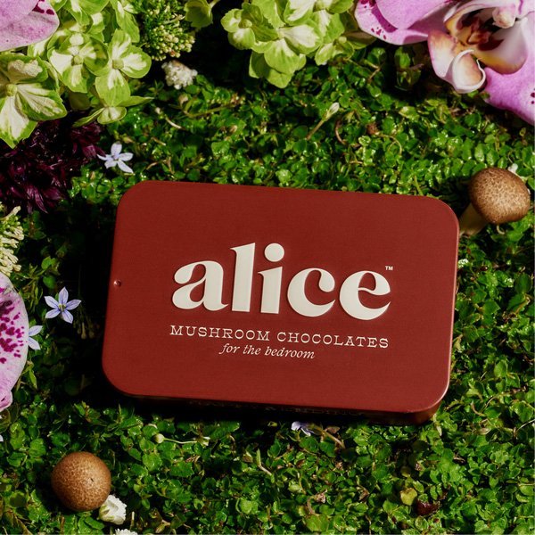 Alice Mushrooms Happy Ending Chocolate